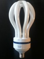 komeebulb2.JPG komeebulb2.JPG