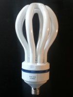 komeebulb1.JPG komeebulb1.JPG