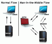 mitm-flow_0.gif