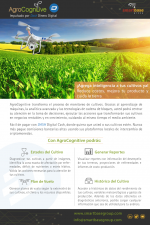 Flyer Agrocognitive - Dash Español.png
