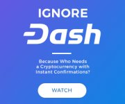 DASH_IGNORE-DASH-CAMPAIGN_300X250_V4.jpg