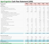 AgroCognitive funding Cash Flow 190518.jpeg