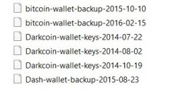 dash and bitcoin and dark.jpg