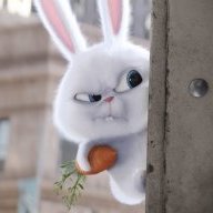 StreetBunny