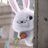 StreetBunny
