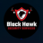 blackhawksecurityservice